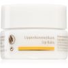 Dr. Hauschka Eye And Lip Care huulivoide ravitseva vaikutus 4,5 ml thumbnail 1