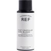 REF. Root Concealer 100 ml thumbnail 1
