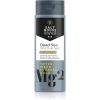 Salt House Dead Sea Men miesten suihkugeeli 3in1 250 ml thumbnail 1
