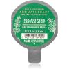 Bath & Body Works Eucalyptus Spearmint autotuoksu täyttöpakkaus 6 ml thumbnail 1