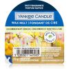 Yankee Candle Cucumber Mint Cooler tuoksuvaha 22 g thumbnail 1