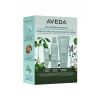 Aveda Scalp Solutions Winter Renewal Set thumbnail 1