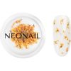 NEONAIL Dried Flowers 03 - Orange thumbnail 1