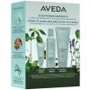 Aveda Scalp Solutions Winter Renewal Set (25 + 200 + 200 ml) thumbnail 1