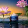 Fresh Lotus Youth Preserve Dream Face Cream 50ml thumbnail 7