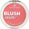 essence Blush Crush! 30 Cool Berry thumbnail 1