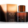 Kenneth Cole Copper Black Eau de Toilette -tuoksu miehille 100 ml thumbnail 4
