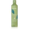 Echosline Energy Shampoo shampoo heikoille ja rasittuneille hiuksille 300 ml thumbnail 1