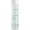 Joico InnerJoi Hydrate Conditioner (300 ml) thumbnail 1