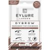 Eylure Dybrow 1 kpl thumbnail 1