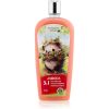 Bohemia Gifts &amp; Cosmetics Bohemia Herbs Strawberry vaahtokylpy ja suihkugeeli 500 ml thumbnail 1