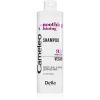 Delia Cosmetics Cameleo Smoothing & Shining silottava shampoo kurittomille ja pörröisille hiuksille 400 ml thumbnail 1