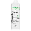 Delia Cosmetics Cameleo Volume &amp; Strengthening volyymishampoo hennoille hiuksille 400 ml thumbnail 1
