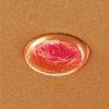 Lancôme Absolue Precious Cells kaksivaiheinen ihoa kirkastava yötiiviste 15 ml thumbnail 5