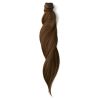 Rapunzel of Sweden Hair Pieces Clip-in Ponytail Original 60 cm 2. thumbnail 1