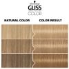 Schwarzkopf Gliss Color kestohiusväri sävy 9-16 Ultra Light Cool Blonde 1 kpl thumbnail 4