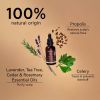 Apivita Dandruff Relief Oil päänahan hoito rasvaiseen hilseeseen 50 ml thumbnail 7