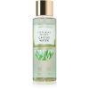 Victoria's Secret Cactus Water vartalosuihke naisille 250 ml thumbnail 1