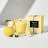 NEST New York Sunlit Yuzu &amp; Neroli Classic Candle 230g thumbnail 3