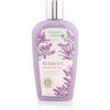Bohemia Gifts &amp; Cosmetics Bohemia Herbs Lavender voidemainen suihkugeeli 250 ml thumbnail 1