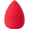 ALL I AM BEAUTY Blending Sponge Red thumbnail 1