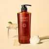 DAENG GI MEO RI Honey Therapy Professional Plus Shampoo elvyttävä shampoo heikoille ja vaurioituneille hiuksille 500 ml thumbnail 3