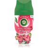 Air Wick Freshmatic Sparkling Rose & Raspberry ilmanraikastin täyttöpakkaus 250 ml thumbnail 1