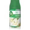 Air Wick Freshmatic White Flowers ilmanraikastin täyttöpakkaus 250 ml thumbnail 1
