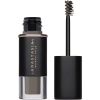 Anastasia Beverly Hills Deluxe Mini Volumizing Tinted Brow Gel Ta thumbnail 1