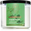 Bath & Body Works Stress Relief Eucalyptus & Spearmint tuoksukynttilä Stress Relief 411 g thumbnail 1