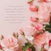 Baylis & Harding Royale Garden Rose, Poppy & Vanilla lahjasetti (käsiin) thumbnail 4
