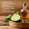 Baylis &amp; Harding The Fuzzy Duck Bergamot, Hemp &amp; Sandalwood lahjasetti (vartalolle) miehille thumbnail 4
