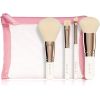BrushArt Basic On-the-go Glam mini make-up brush set matkasivellinsetti ja laukku(mini) thumbnail 1
