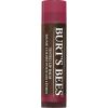 Burt´s Bees Tinted Lip Balm Daisy 4,3 g thumbnail 1