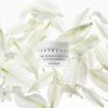 Chantecaille Jasmine and Lily Calming Mask 50ml thumbnail 2