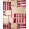 Eveline Cosmetics Wonder Match pitkäkestoinen mattapinnan antava nestemäinen huulipuna sisältää hyaluronihappoa sävy 07 Toffee 6.8 ml thumbnail 6