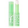 flormar Lip Balm huulivoide maustettu sävy 001 Apple 3 g thumbnail 1