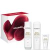 Goldwell Dualsenses Rich Repair Gift Set for Dry, Damaged Hair (Worth £36.55) thumbnail 1