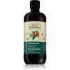 Green Pharmacy Green coffee & Ginger Oil Shower Gel suihkugeeli 500 ml thumbnail 1