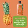 HEMPZ Sweet Pineapple Honey Melon suihkugeeli vartalolle 500 ml thumbnail 3