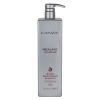 L&#039;ANZA Healing ColorCare Silver Brightening Shampoo 1000ml thumbnail 1