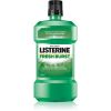 Listerine Fresh Burst plakkia ehkäisevä suuvesi 250 ml thumbnail 1