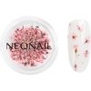 NEONAIL Dried Flowers thumbnail 1