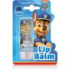 Nickelodeon Paw Patrol Lips huulivoide lapsille Blueberry 4,4 g thumbnail 1