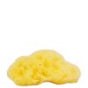 The Natural Sea Sponge Company - Fina Silk Sea Sponge (Approx 3 Inches) thumbnail 1