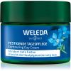 Weleda Blue Gentian &amp; Edelweiss kohottava voide päiväkäyttöön 40 ml thumbnail 1