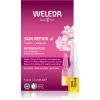 Weleda Wild rose intensiivinen kuuri ensimmäisiin ryppyihin 7x0,8 ml thumbnail 1