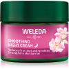 Weleda Wild Rose & White Tea kirkastava voide yöksi 40 ml thumbnail 1