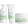 Wella Professionals Elements Renewing Trio Package thumbnail 1