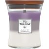 WoodWick Amesthist Sky Trilogy Jar Medium thumbnail 1